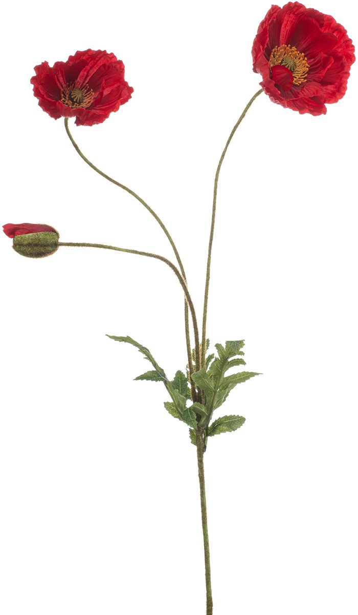 Emerald Kunstbloem Klaproos rood 75cm - Kunstplant voor binnen