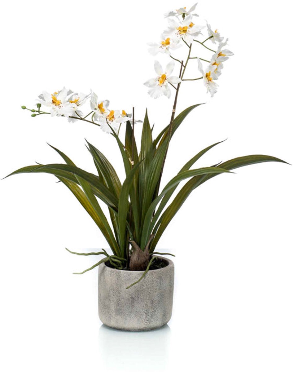 Emerald Kunstplant in pot Oncidium wit 45cm - Kunstplant voor binnen