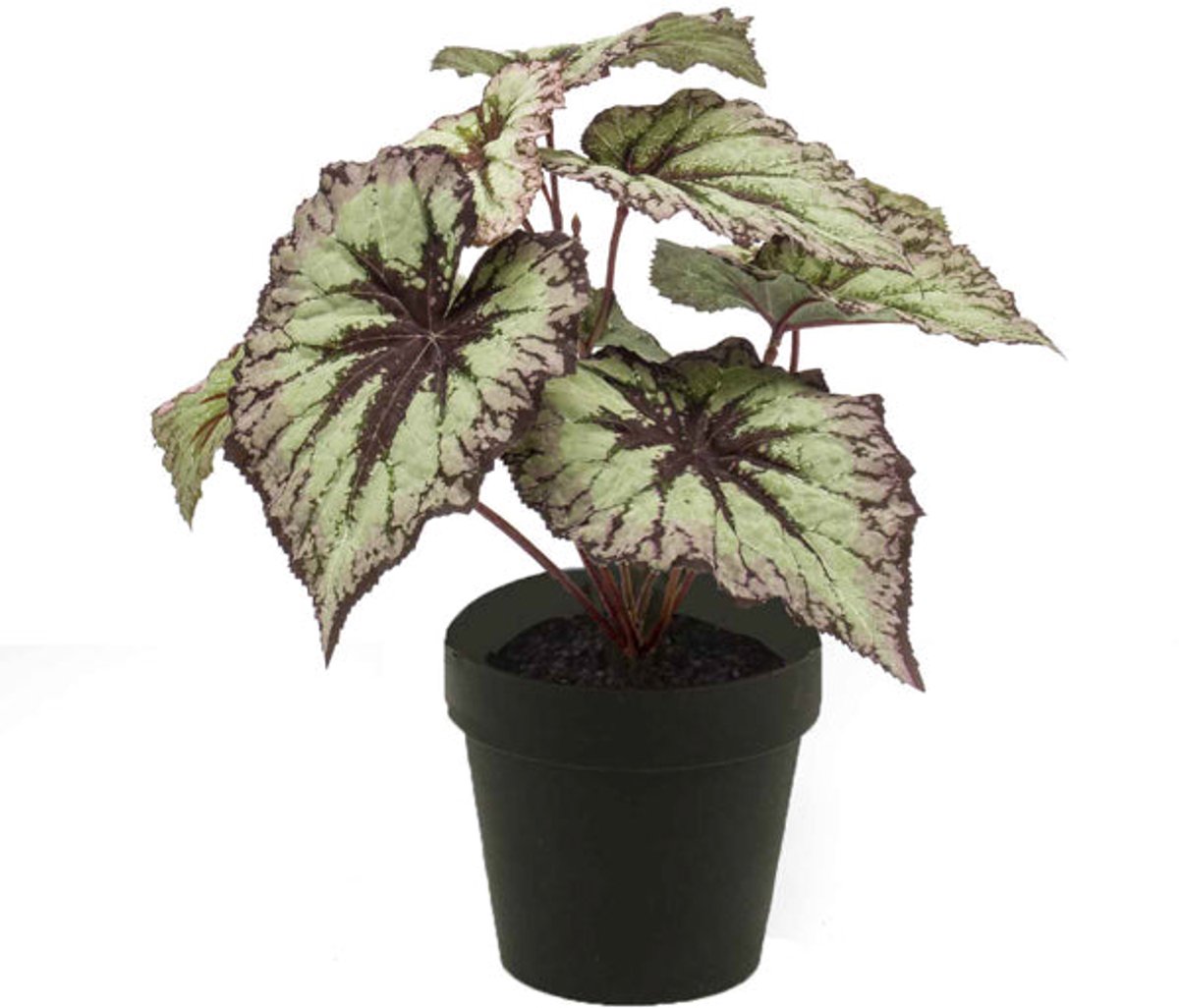 Emerald Kunstplant in pot Begonia grijs/paars 25cm - Kunstplant voor binnen Grijs, Paars