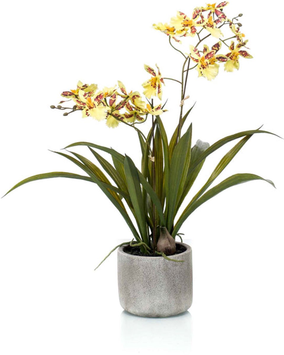 Emerald Kunstplant in pot Oncidium geel 45cm - Kunstplant voor binnen