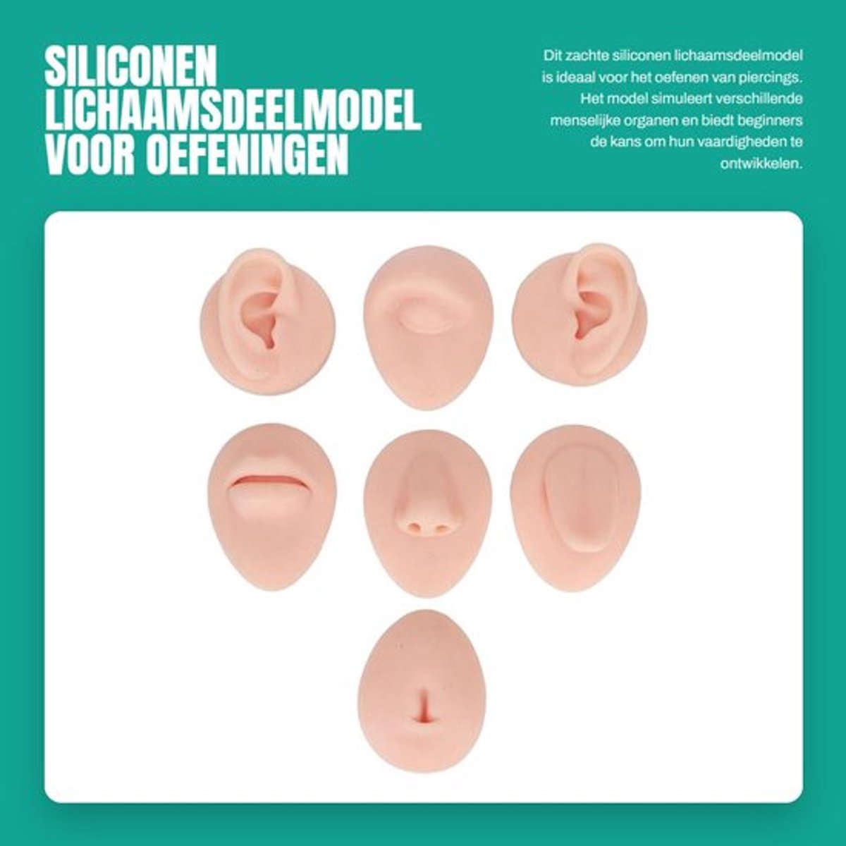 Lichaamsdeelmodel Zacht Siliconen - Oefenmodel Piercing - Simulatie Oor/Oog/Neus/Mond/Tong/Navel - Beginners - Herbruikbaar - Voedselveilig - Piercingmodel