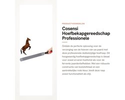 Hoefrasp Professioneel - Dubbelzijdige Paardenhoefvijl - Hoefverzorging - Koolstofstaal - 35 cm/47 cm - Eenvoudig te bedienen - Hoefvijl