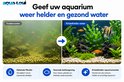 Twee aquaria naast elkaar: links troebel water met vissen, rechts kristalhelder water met vissen en planten. Pijl geeft verbetering aan.