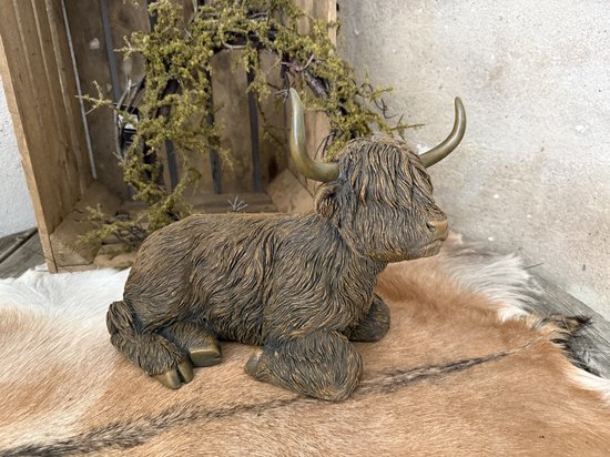 Landelijke liggende schotse hooglander / highlander / beeld