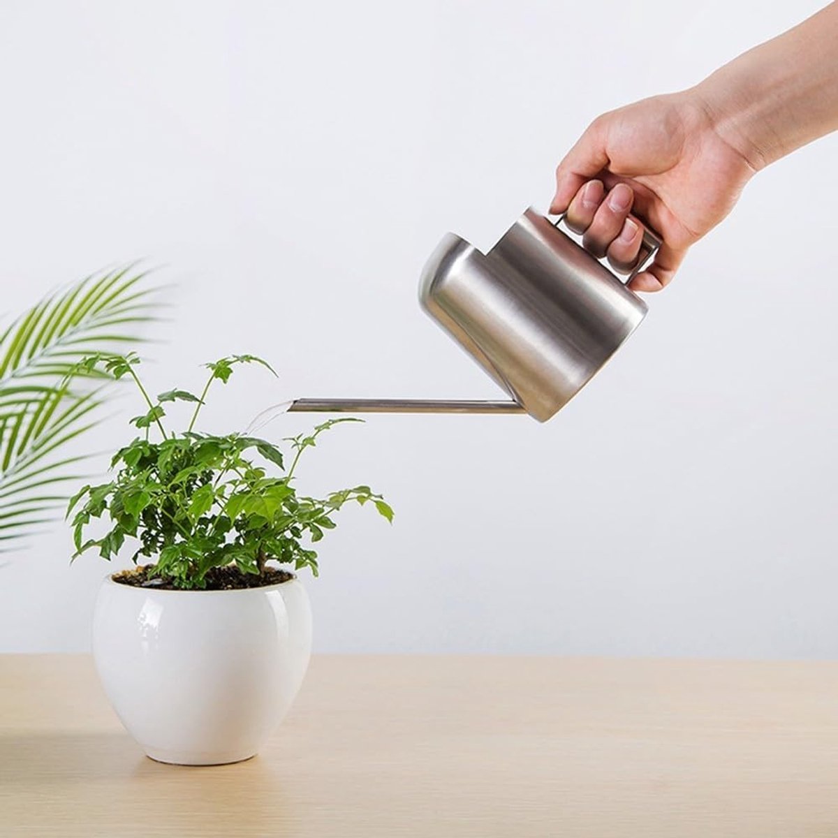 Bloem Waterkoker - Gieter Kamerplanten - Planten Water Geven - Lange Dunne Tuit - 300 ml - Zilver