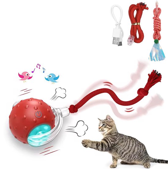 Rode interactieve bal met touw en veer, naast een speelse kat.