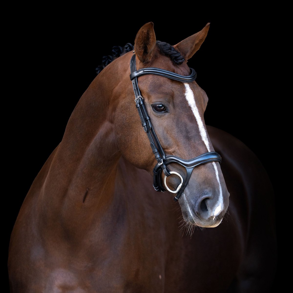 Imperial Riding Hoofdstel IRH met ergonomische lage neusriem/sperriem - Black - Full