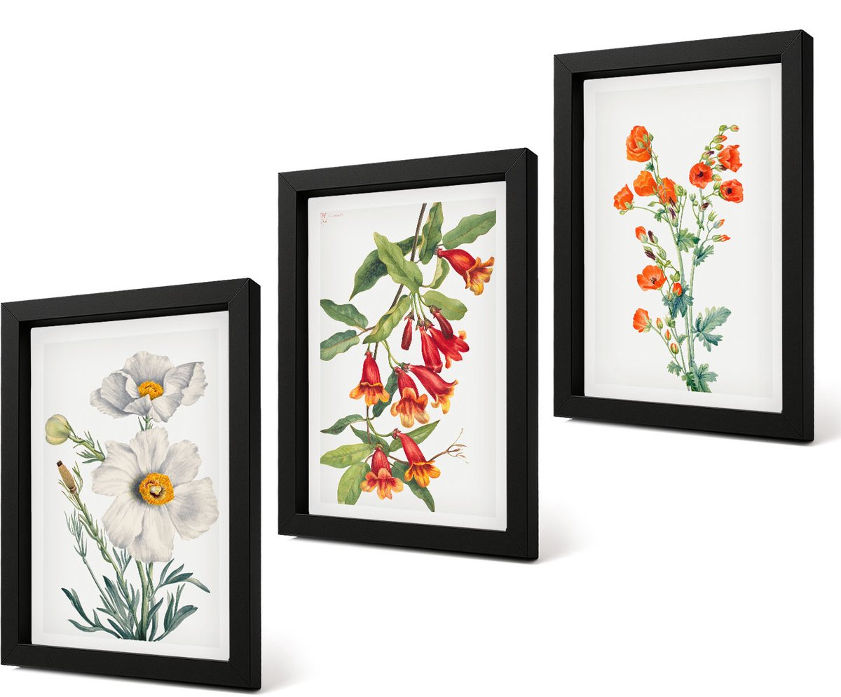 Coloray 4-Delige Schilderij Set - Bloemcomposities Retro Vintage Schilderij - 20 x 30 cm - Wanddecoratie - Schilderijen Set - Interieur - Moderne Wanddecoratie Zwarte lijst