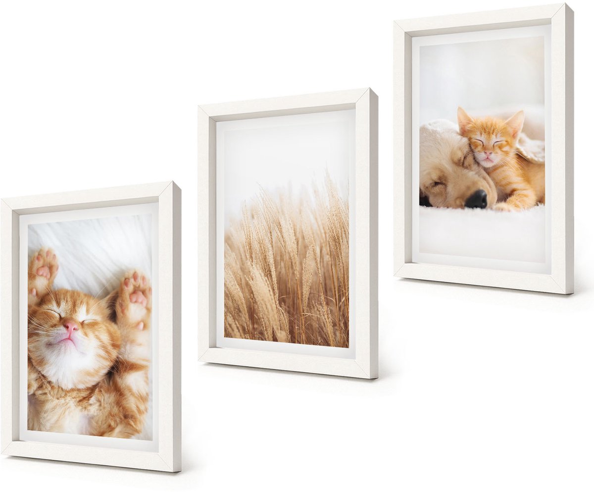 Coloray 3-Delige Schilderij Set - Schattige dieren: katten, honden, zacht gras, boho-stijl. - 20x30 - Muurdecoratie - Wanddecoratie - Slaapkamer - Stijlvolle Muurdecoratie