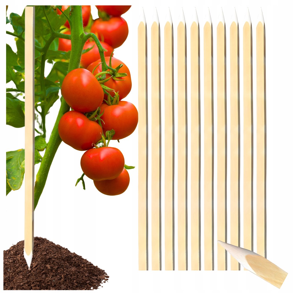 Merkloze Beukenhouten Palen voor Tuin en Bouw - 100cm (25 stuks)