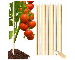 Merkloze Beukenhouten Palen voor Tuin en Bouw - 100cm (25 stuks)