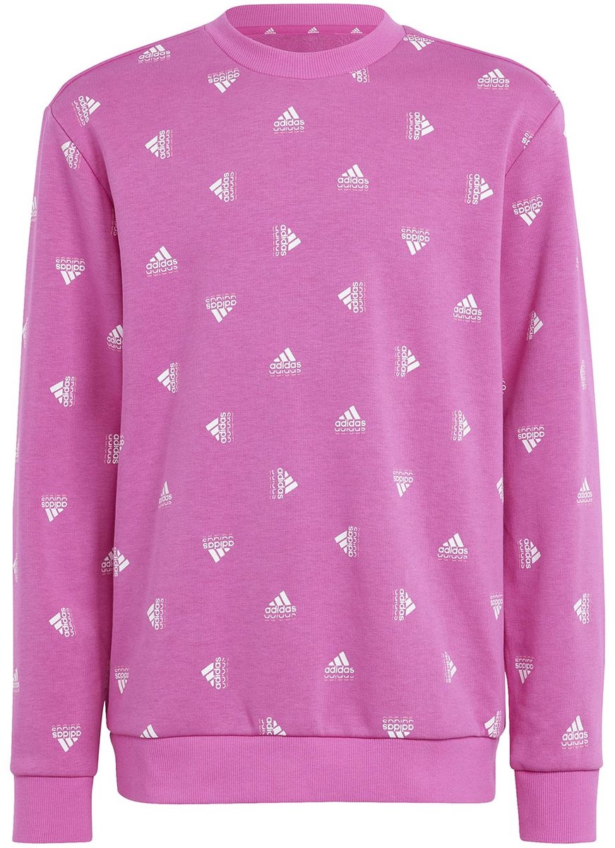 adidas Bluv Swt Sweater Kinderen 152cm Roze
