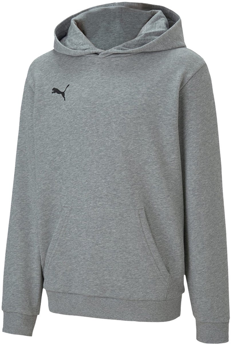 Puma teamGOAL 23 Casuals Hoody Jr Kinderen Grijs