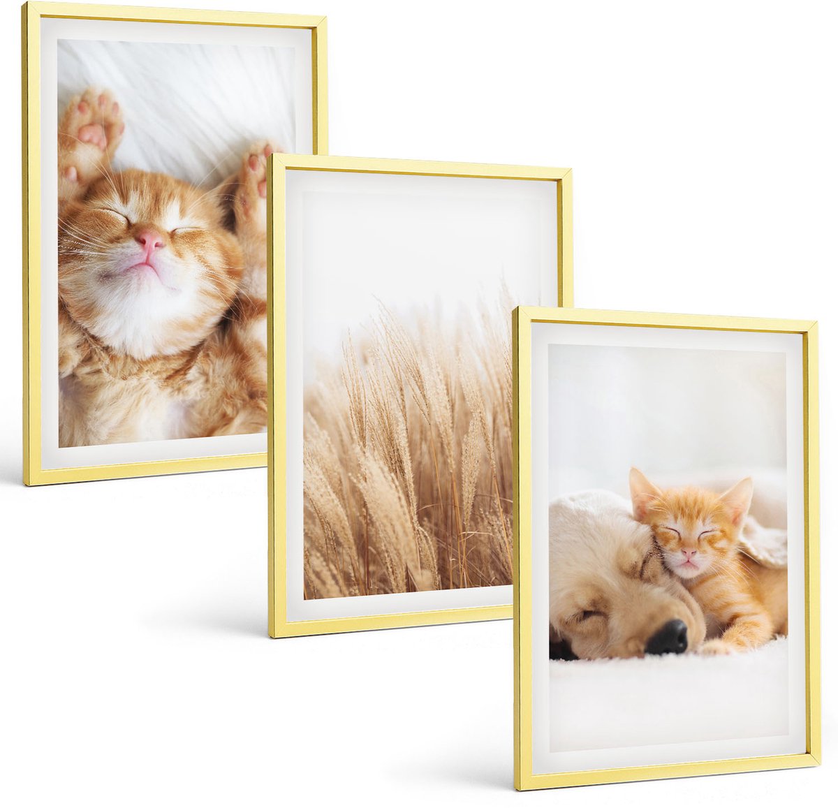 TULUP 4-Delige Schilderij Set - Schattige dieren: katten, honden, zacht gras, boho-stijl. - 40 x 60 cm - Wanddecoratie - Schilderijen Set - Kantoor - Decoratieve Schilderijen Gouden lijst