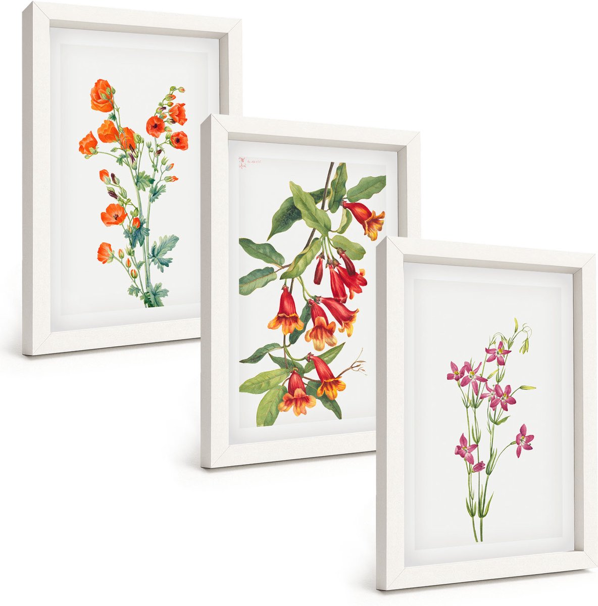 Tulup 3-Delige Schilderij Set - Vintage retro bloemenschilderij - 20x30 - Muurdecoratie - Wanddecoratie - Slaapkamer - Stijlvolle Muurdecoratie
