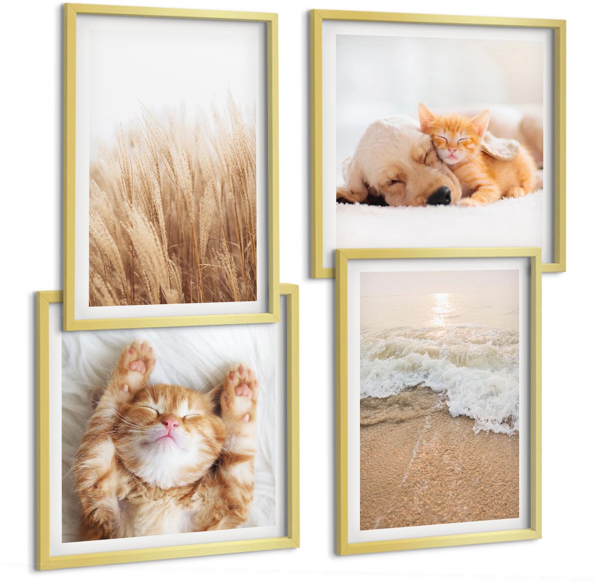 TULUP 4-Delige Schilderij Set - Schattige dieren Katten Honden Strand Gras Boho - 40 x 40 cm en 40 x 60 cm - Stijlvolle Wanddecoratie - Interieur - Decoratieve Schilderijen Gouden lijst