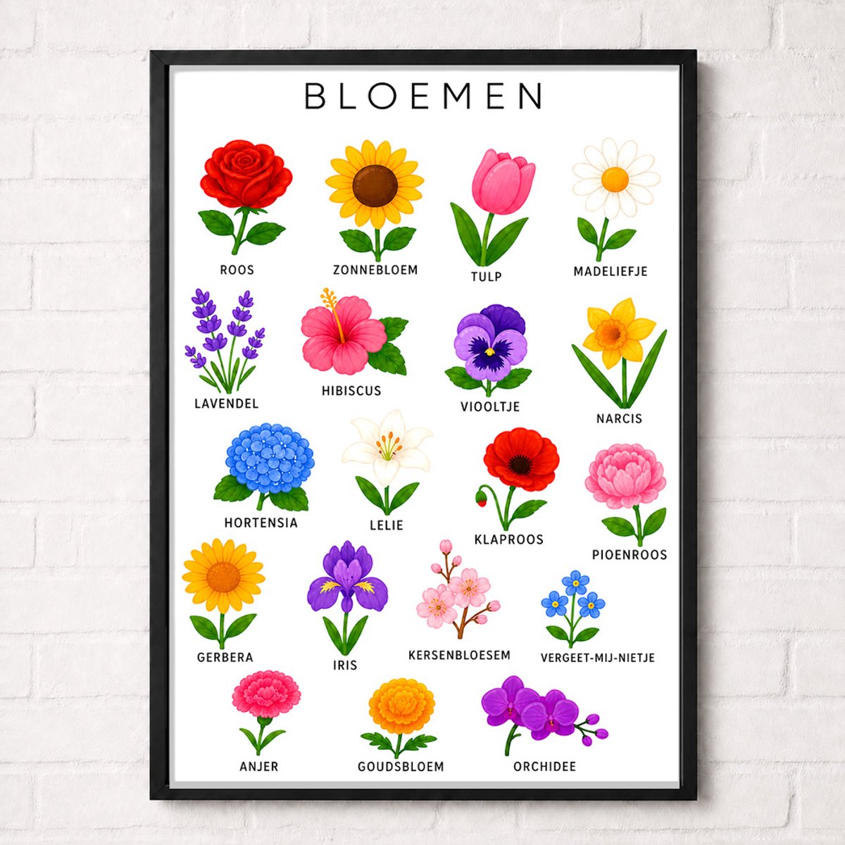 Bloemen Educatieve Poster voor Kinderen - Leren - groep 1 t/m 5 (4-9 jaar) - A2+ 43,2 x 61 cm