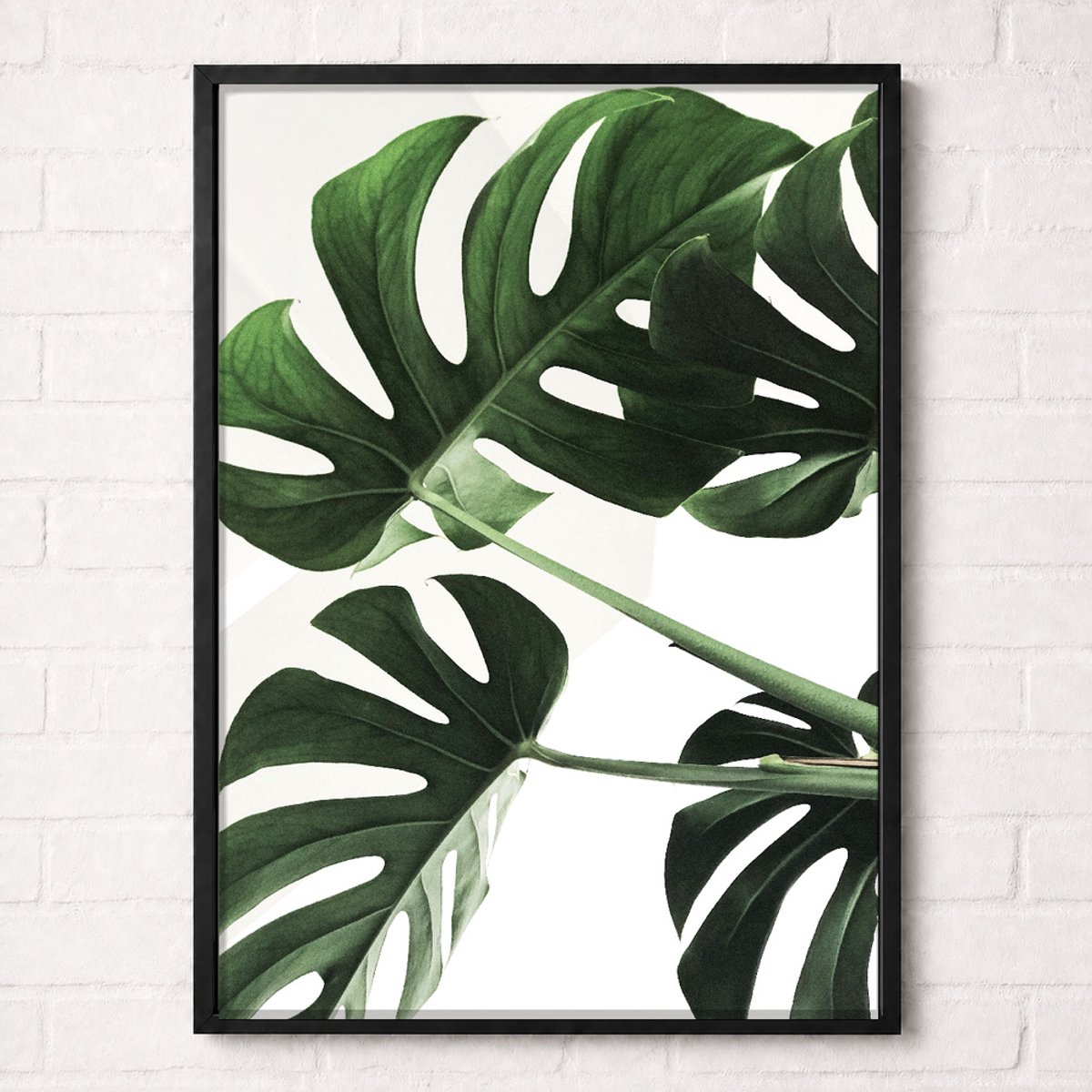 Monstera Bladeren Poster - Botanical Nature Collection - Natuur Posters - A1+ 61 x 91,5 cm
