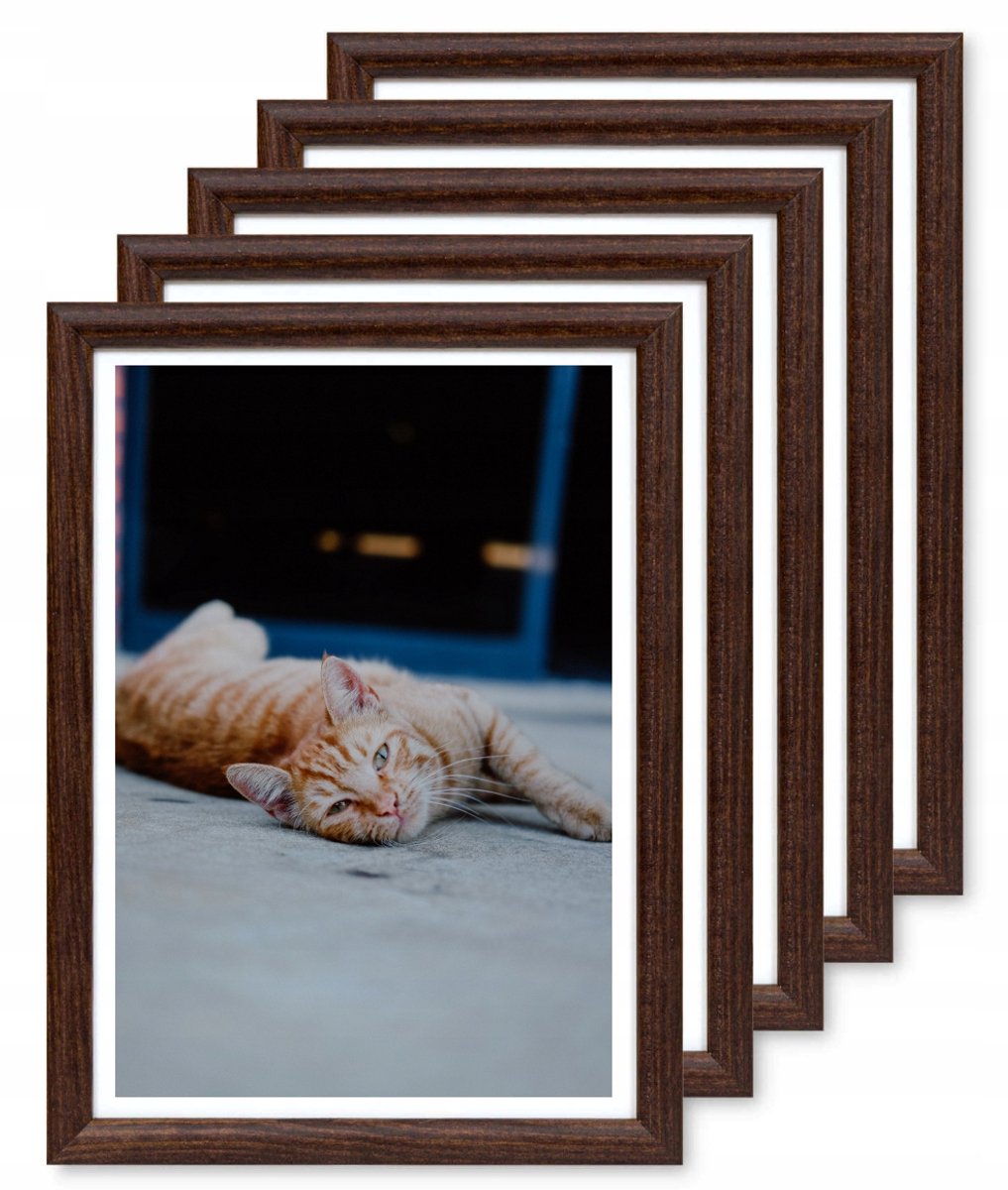 Set van 5 bruine houten fotolijsten 13x18 cm
