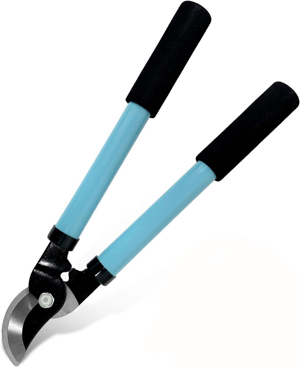 Knipschaar tuin - Blauw - 38 cm - Bypass Takkenschaar met SK5 Koolstofstalen Messen - Voor Tuiniers