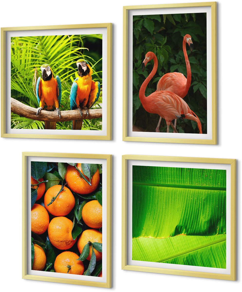 Coloray 4-Delige Schilderij Set - Fruitige accenten met papegaaien en flamingo's in de tropen - 40 x 40 cm en 40 x 60 cm - Muurdecoratie - Wanddecoratie - Slaapkamer