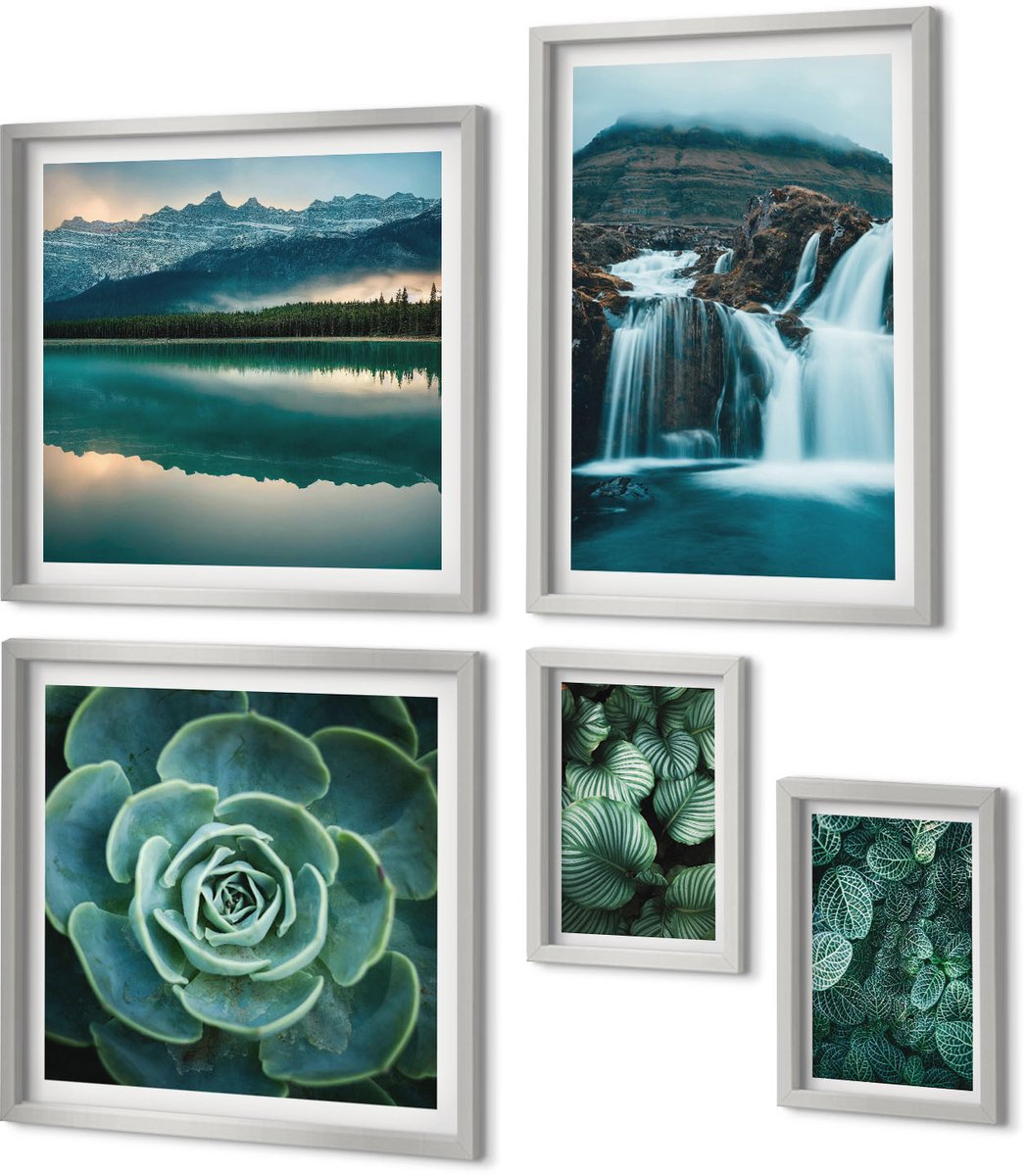 Coloray 5-Delige Schilderij Set - Vetplanten In Groene En Turquoise Tinten. - 20 x 30 cm - Stijlvolle Muurdecoratie - Kantoor