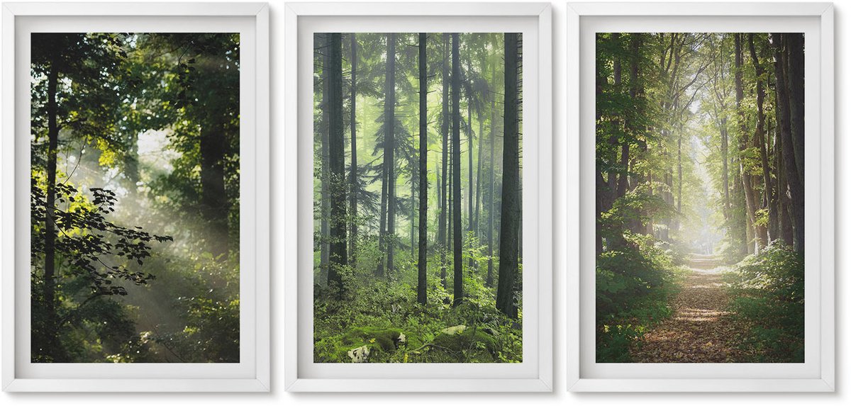 Wallfluent 3-Delige Schilderij Set - Groene Bossen Met Zonnestralen En Een Bospad - 40 x 60 - Wanddecoratie - Muurdecoratie - Moderne Interieurdecoratie - Interieur Decoratie