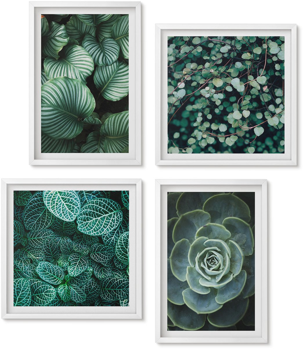 Wallfluent 4-Delige Schilderij Set - Groene Bladplanten En Stijlvolle Vetplanten - 40 x 40 En 40 x 60 - Stijlvolle Muurdecoratie - Kantoor