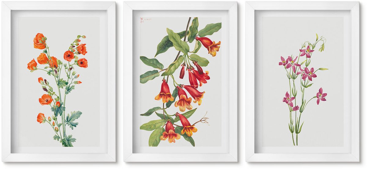 Wallfluent 3-Delige Schilderij Set - Vintage Retro Bloemenschilderij - 20 x 30 - Muurdecoratie - Wanddecoratie - Slaapkamer - Stijlvolle Muurdecoratie