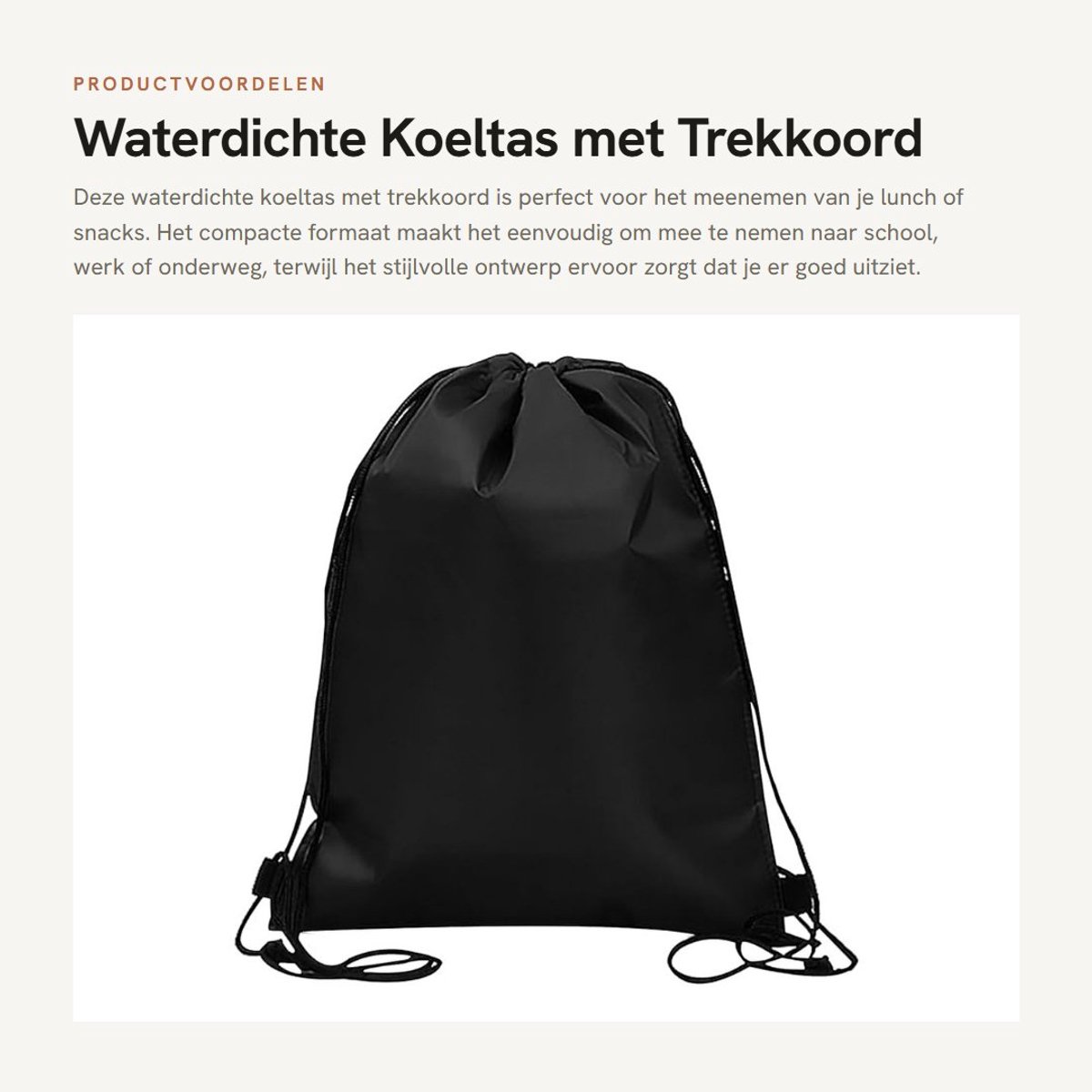 Dailygoods- Koeltas Waterdicht - Opvouwbare Koeltas - Isolerende Lunchtas - Trekkoord - Compact - Zwart Polyester - Lunchbox