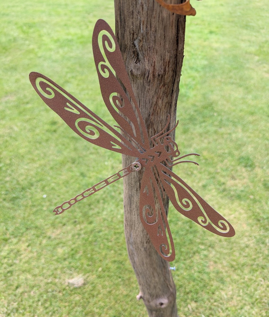 Ornament voor binnen of buiten in de tuin; roest kleur metalen Libelle