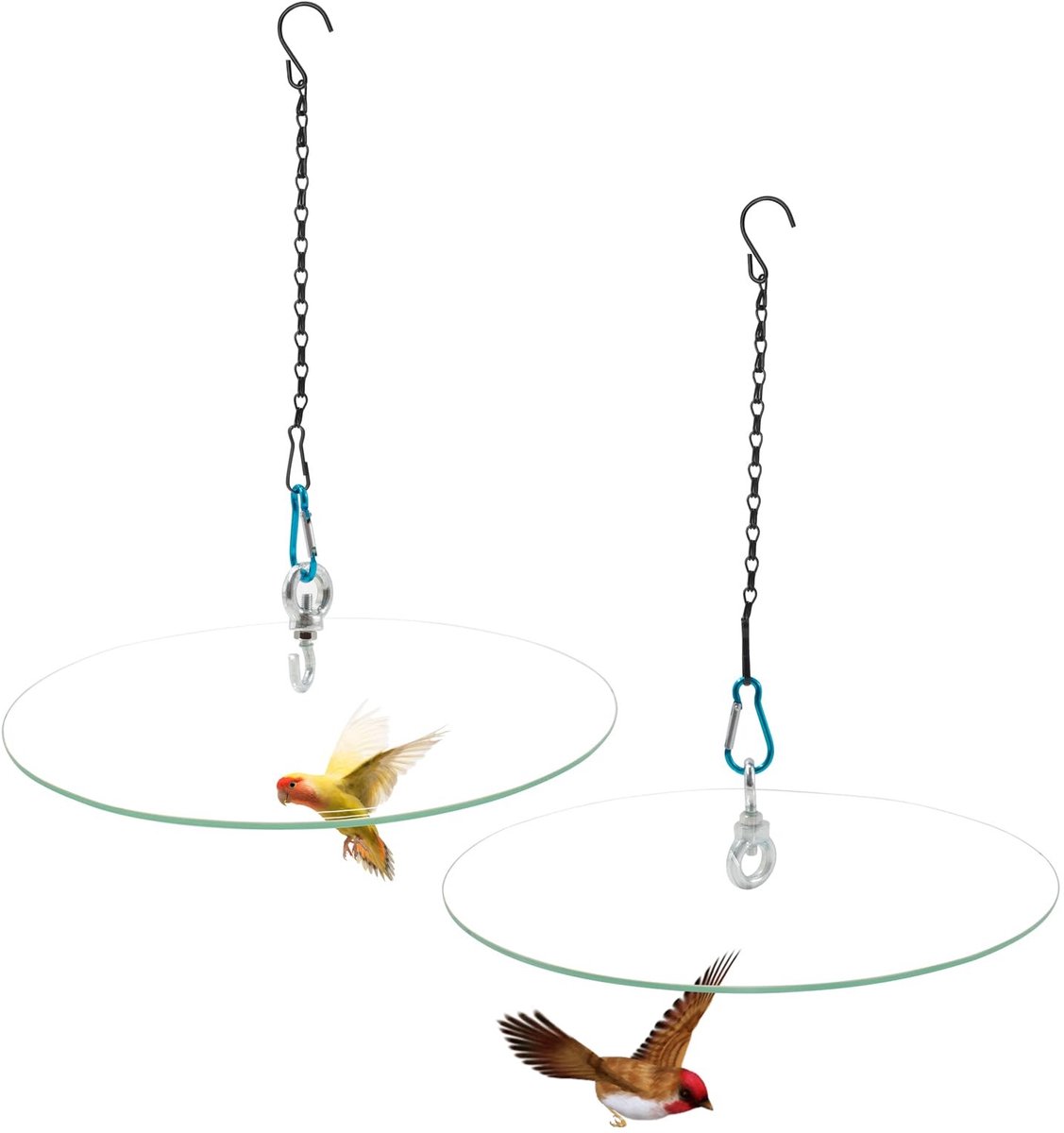 Omgoods - Set van 2 Glazen Beschermdome voor Vogelvoeders, 28.5 cm