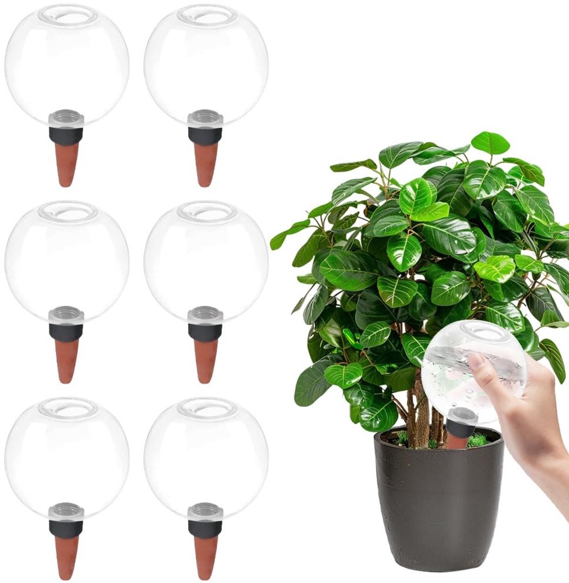 Omgoods - Set van 6 Zelfwaterende Plantenballen 500ml