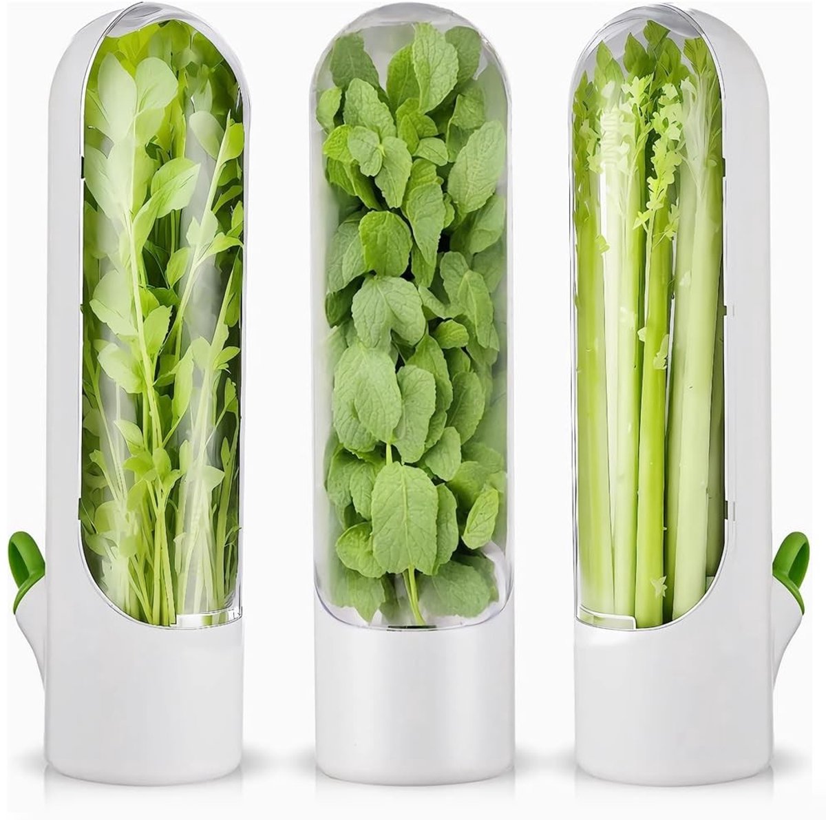 Omgoods - Spice Storage - Koelkast Kruidencontainer voor Versheid