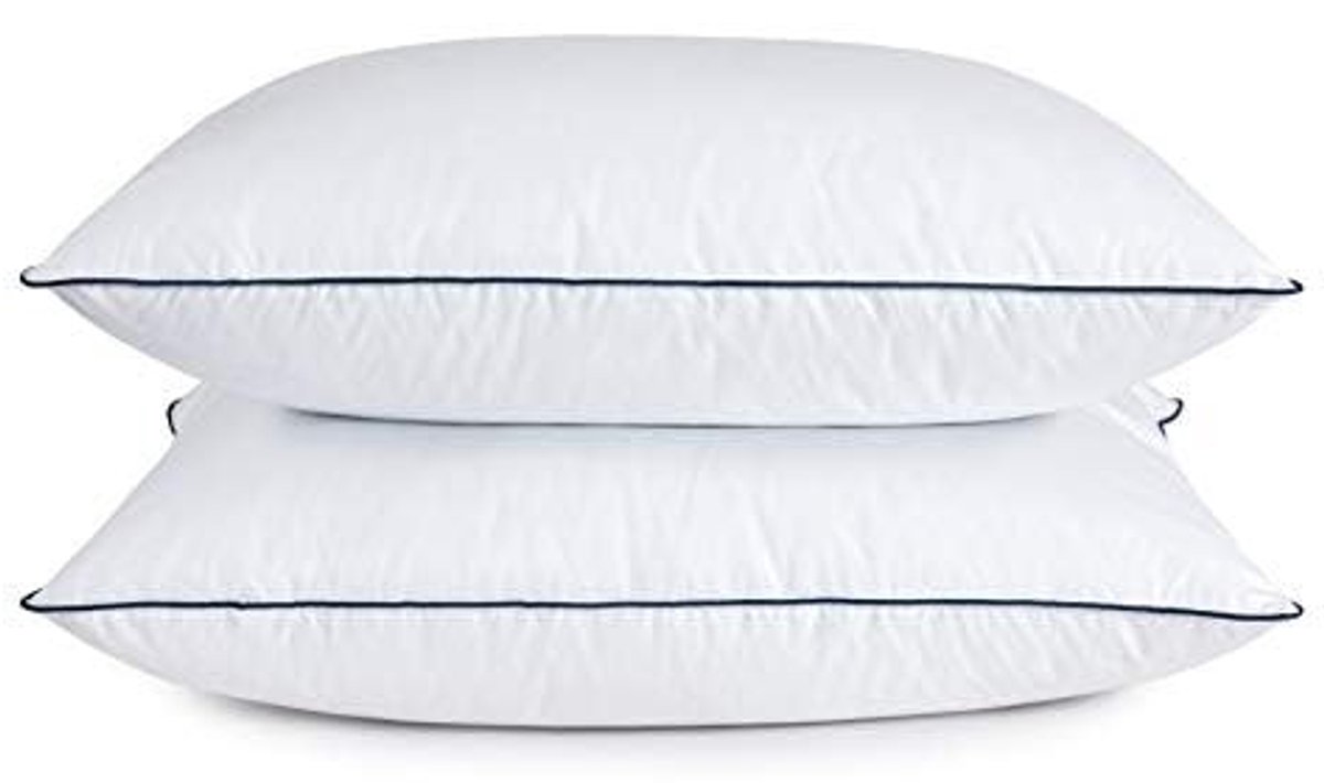 Omgoods - Set van 2 Luxe Hoofdkussens van Ganzendons en Veren