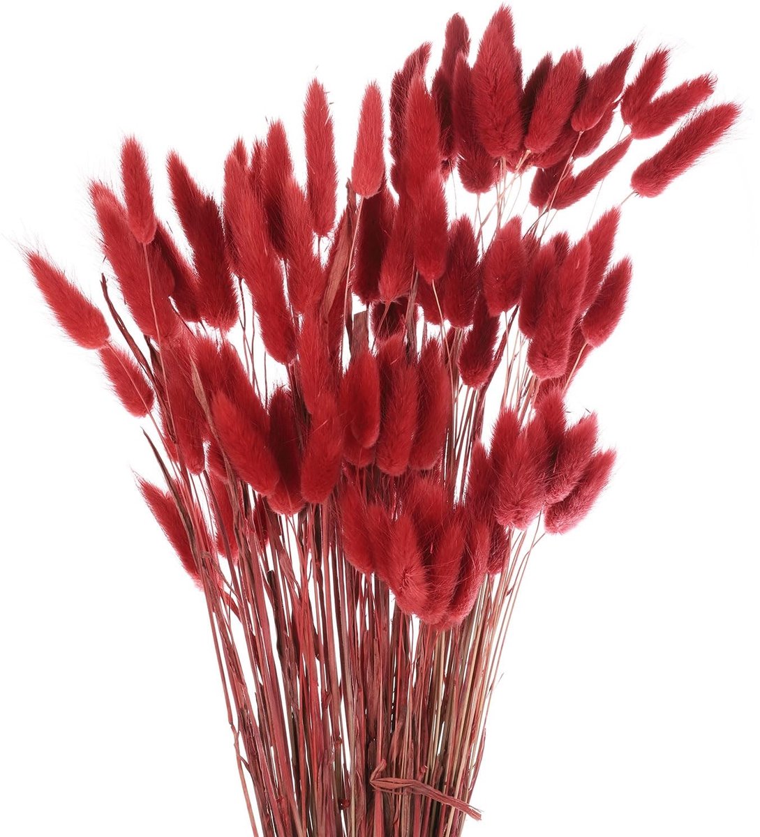 Omgoods - Natuurlijke Drogen Konijnenstaarten voor Bloemdecoratie, 120 Stuks