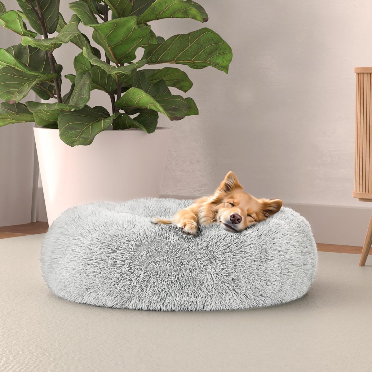 Omgoods - DROOMS Pet Kennel 50x50 cm in Crème