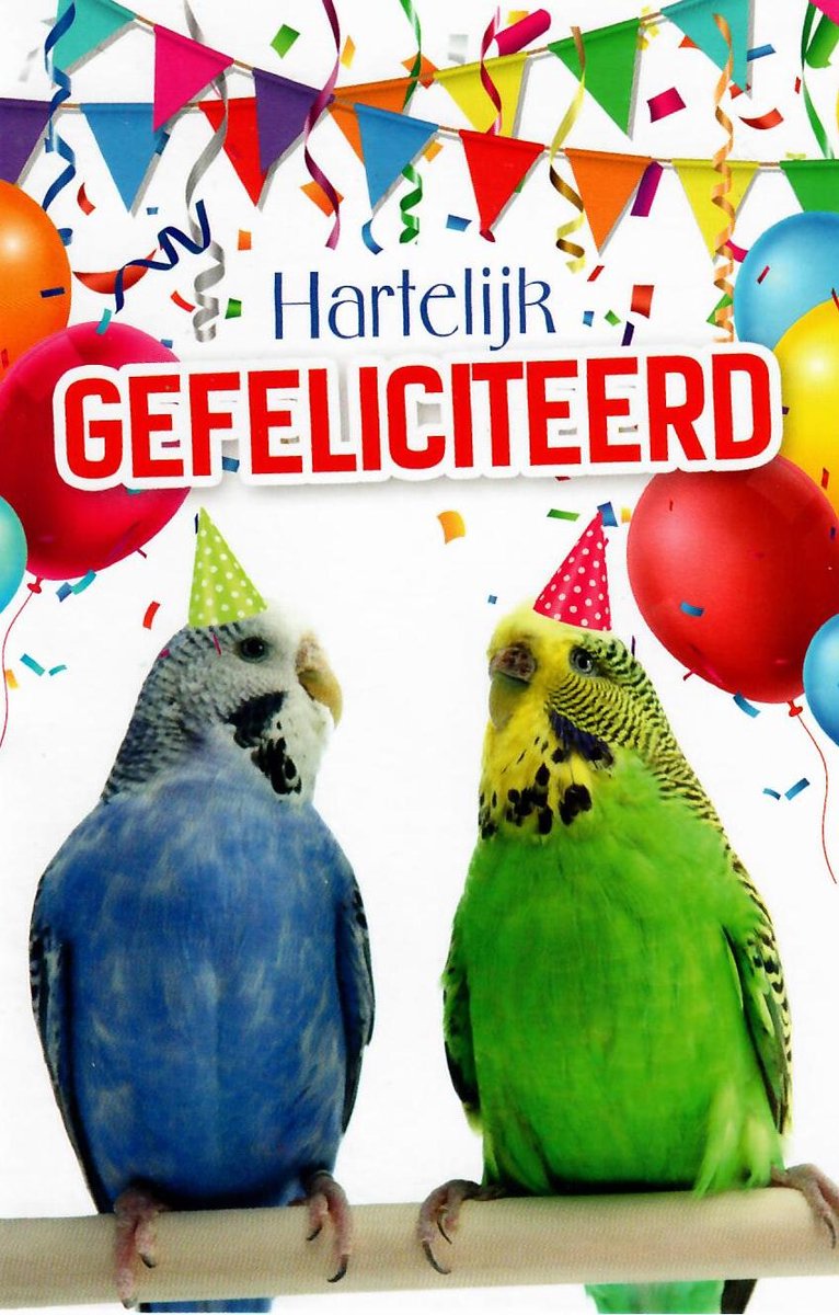 Verjaardagskaart dier | Wenskaart | 10 stuks | Hartelijk gefeliciteerd