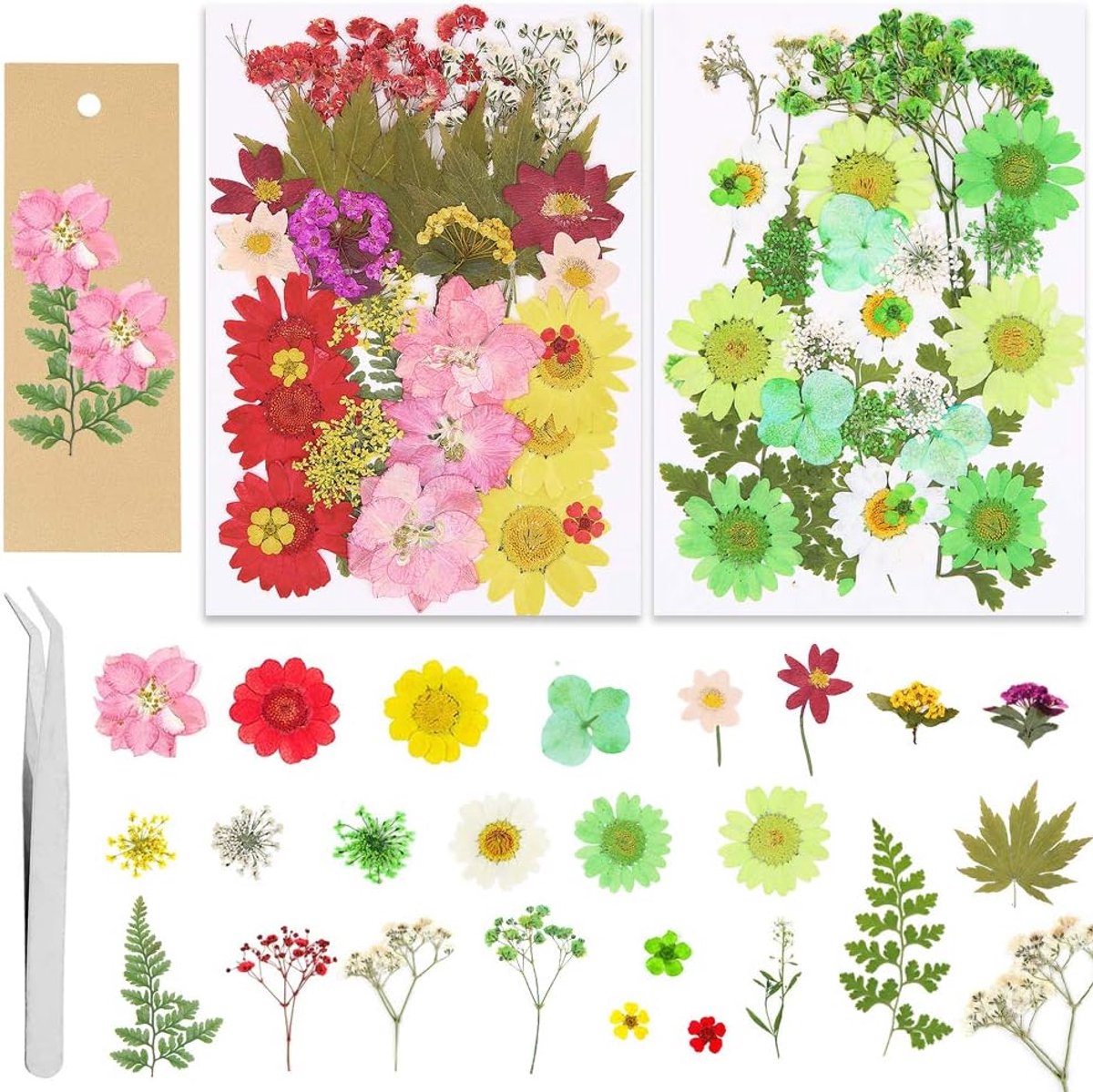 Drogen bloemen set 65 stuks - gemengde gedroogde bloemen en bladeren - inclusief bookmarks en pincet - ShopVlot