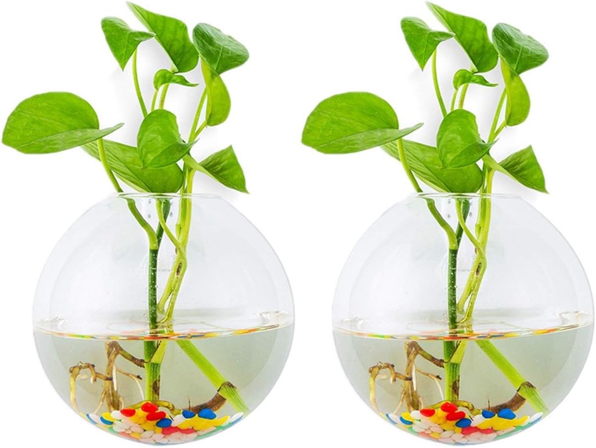 SnelShoppen - Glazen Hangende Plantenpotten, 2 Stuks Balvormige Terrarium Vazen met 2.12 OZ Kleurige Steen voor Binnen, Buiten, Tuin, Kantoor, Bruilof
