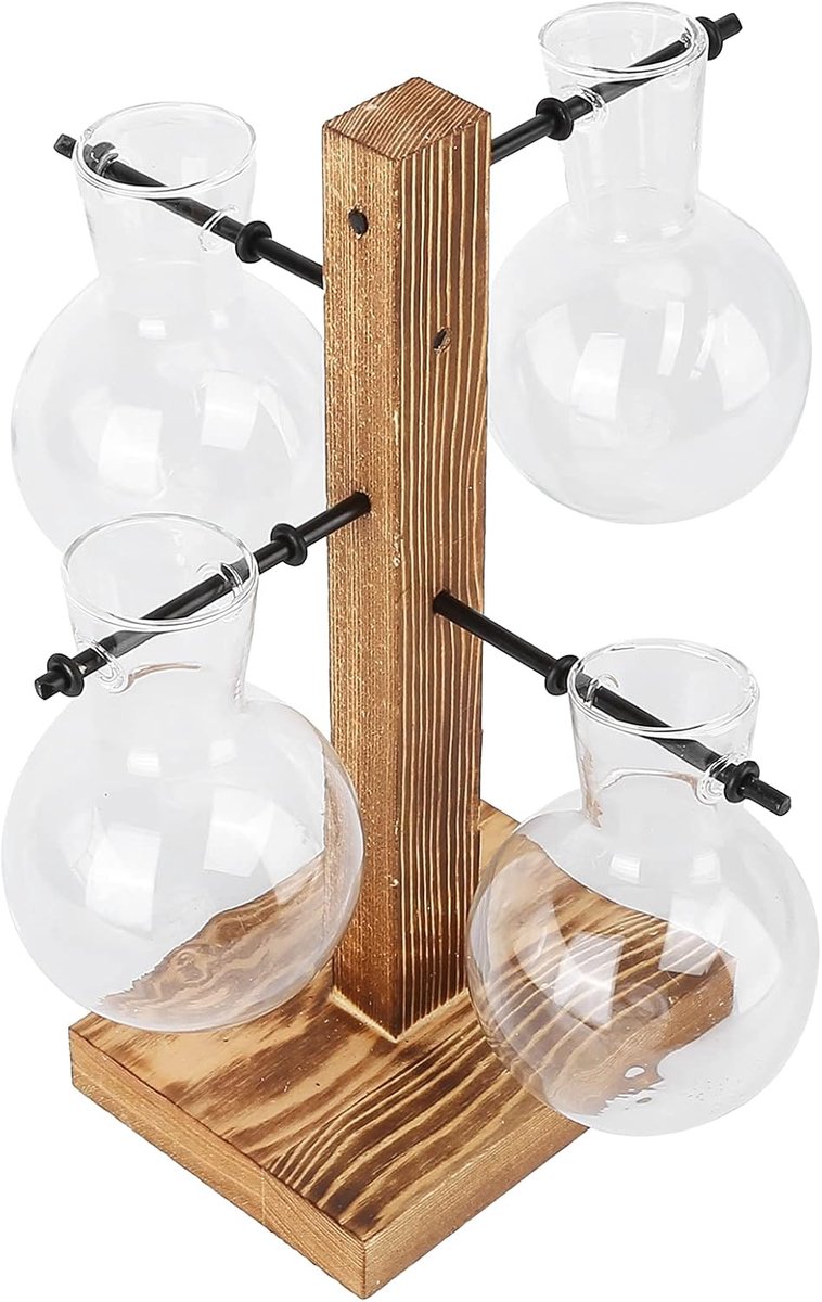 SnelShoppen - Glazen Vaas met Houten Stand, Retro Bloemenpot, Elegante Decoratie voor Thuis en Kantoor, Ideaal voor Hydroponische Planten, Perfect voo