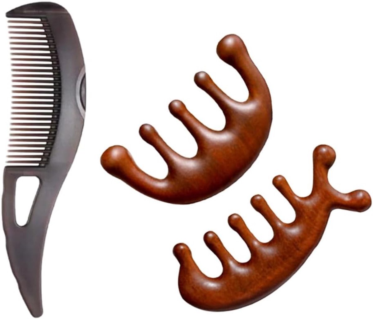 SnelShoppen - 3-delige Haren Kam Set, Hoofdhuid Kam, Glad Buns Borstel, Energie Massage Kam, Haar Verzorging Kam, Gezondere Hoofdhuid en Beter Haar, V