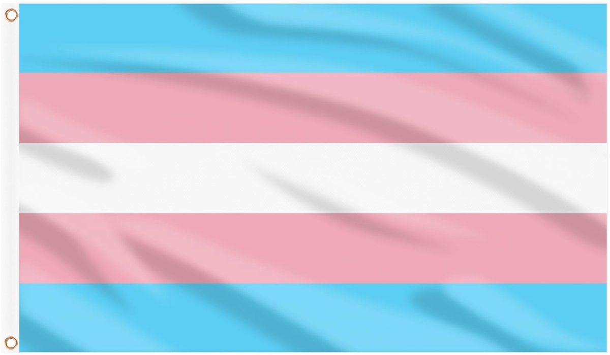 Transgender Pride-vlag LGBTQ+vlaggen transvlag 150 x 3 ft voor Pride