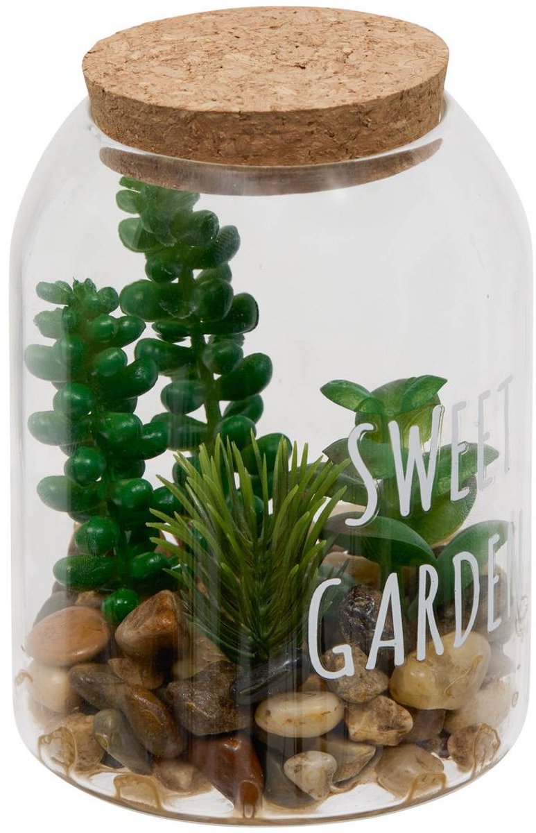 Terrarium ADY