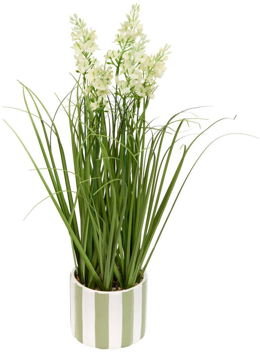 Kunstplant DAURA