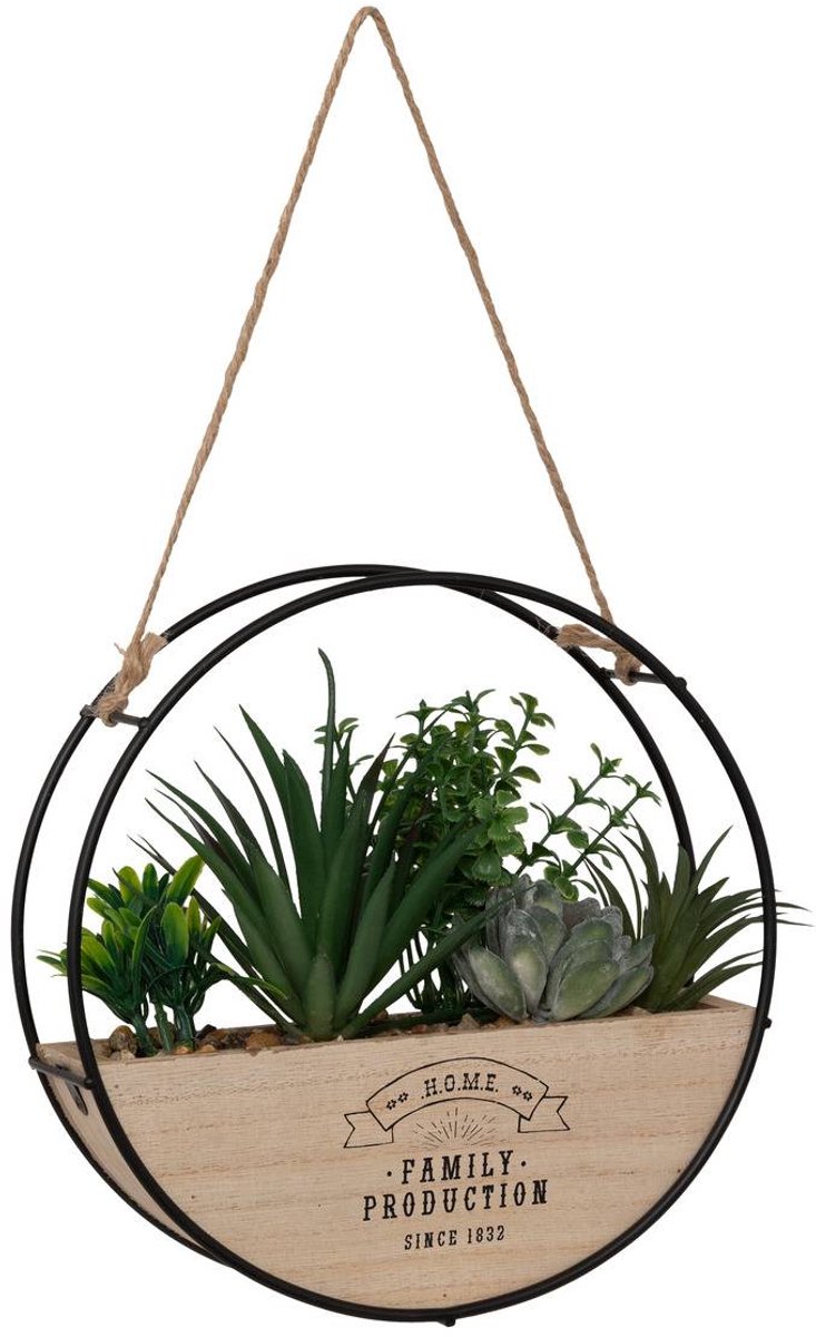 Hangplant KRIST