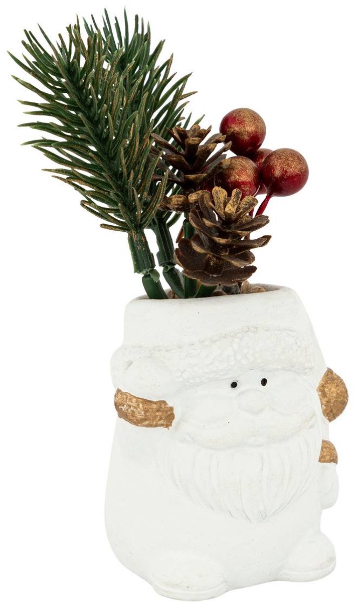 Plante en pot Noël H12cm