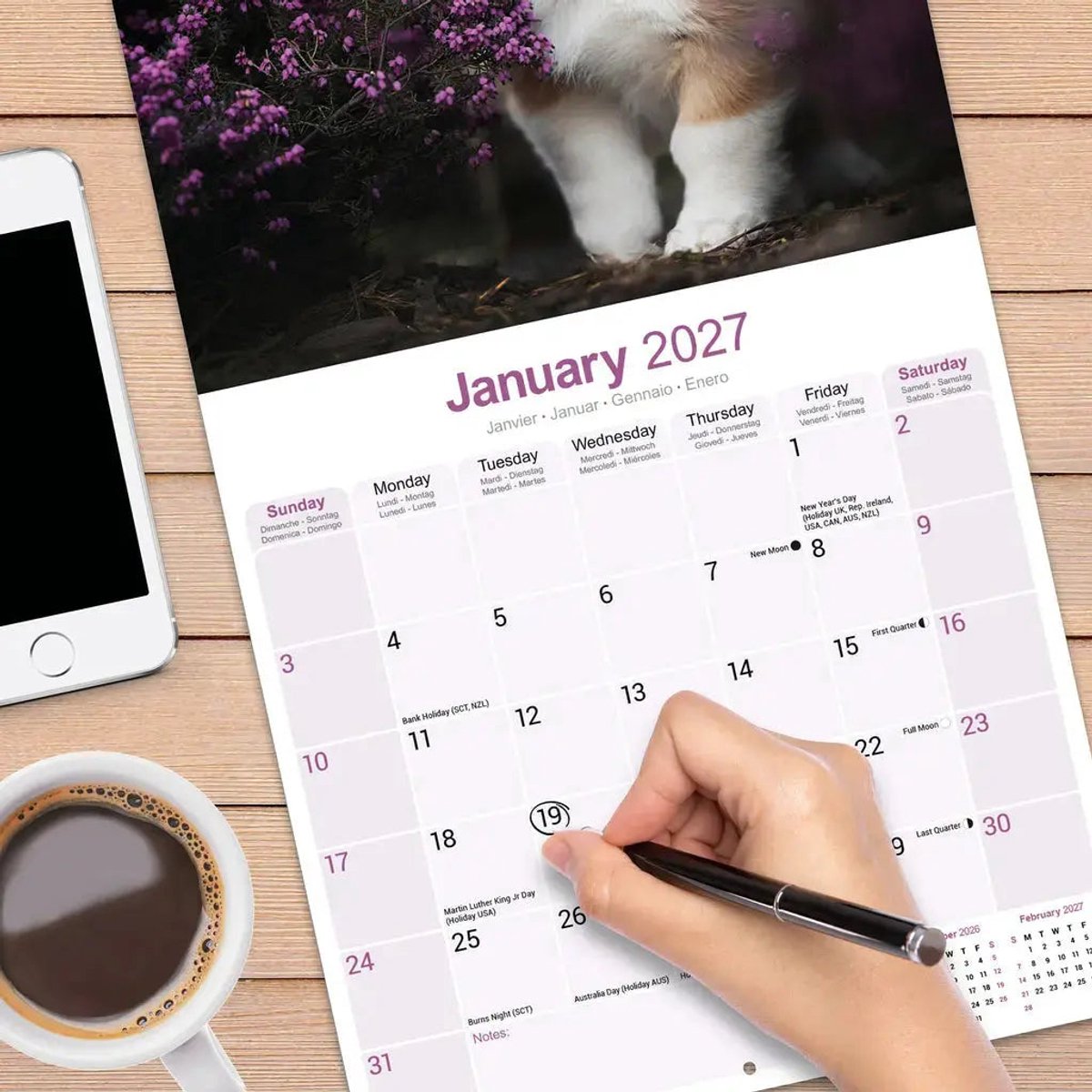 Welsh Corgi Kalender 2027