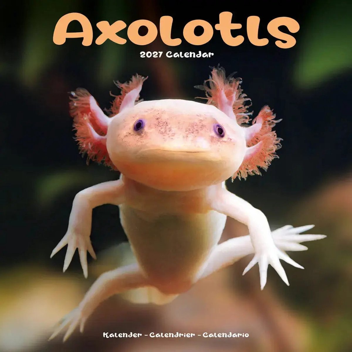 Axoloths Kalender 2027