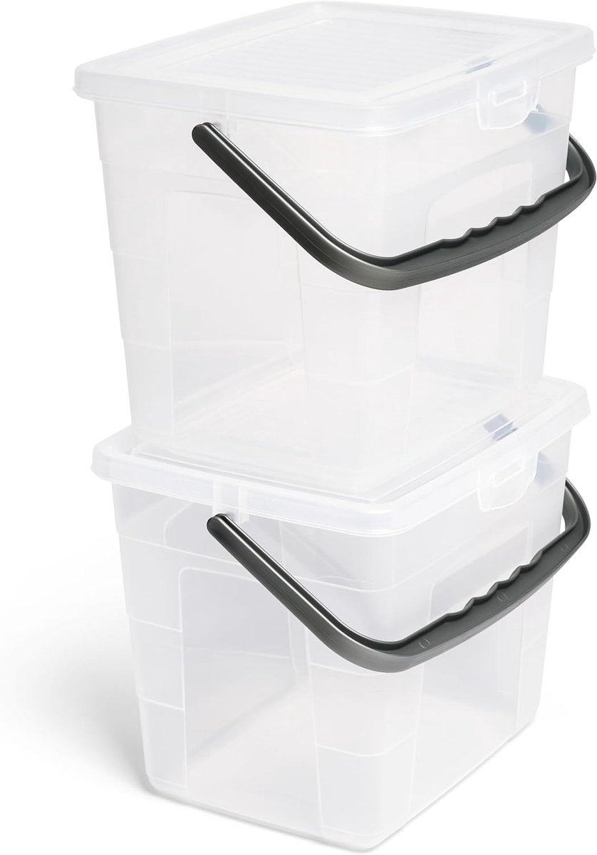 2x wasmiddelbox met deksel 4 liter I Transparant I 23,5 x 18 x 18,5 cm I Box voor waspoeder, opbergbox met handgreep, wasmiddelopbergdoos, wasmiddelbehouder, waspoederhouder